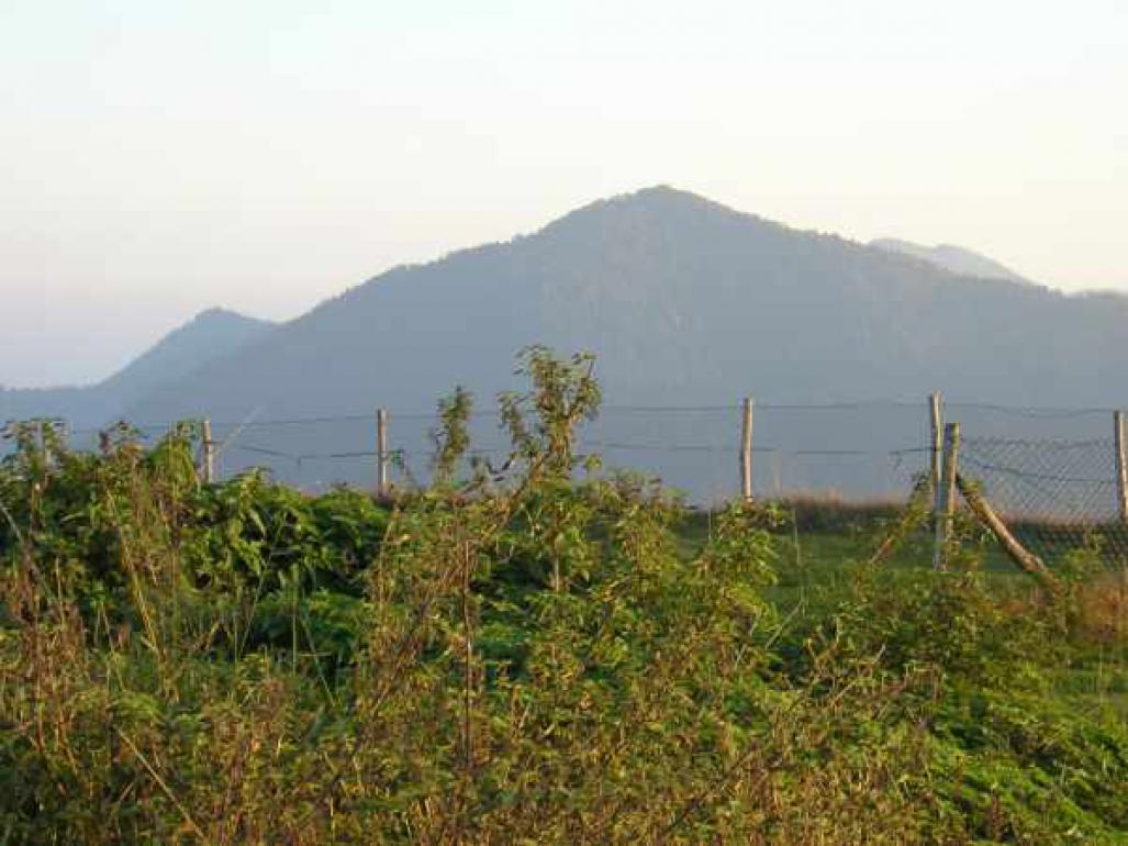 Monte Stino